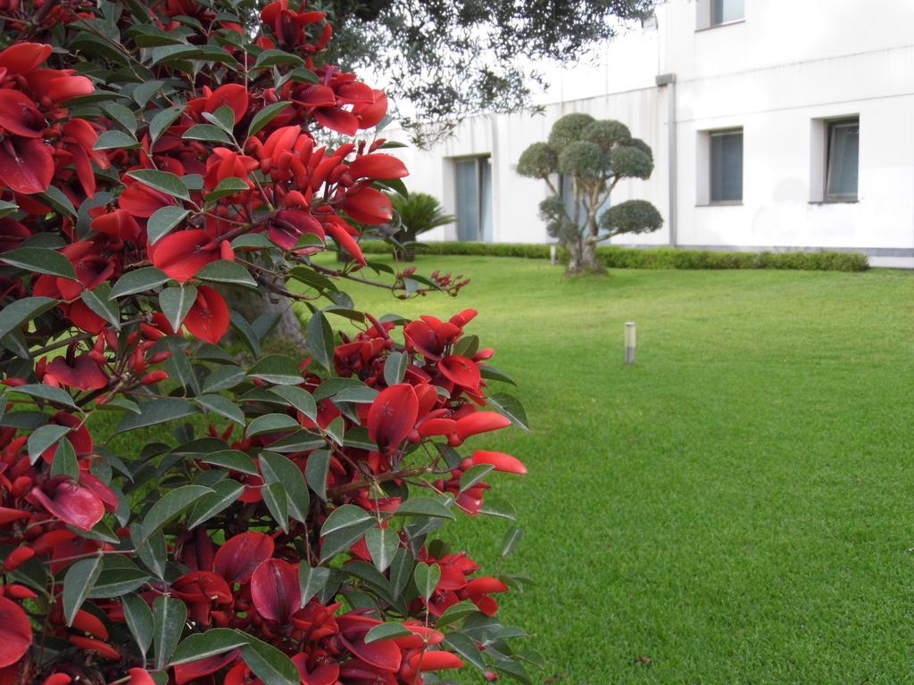 Fiore Dell'Etna Apartamento Santa Venerina Exterior foto