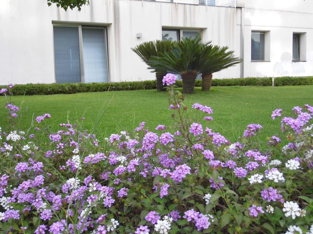 Fiore Dell'Etna Apartamento Santa Venerina Exterior foto
